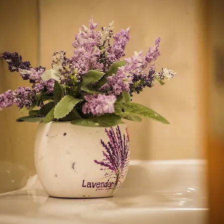 Grepo Sljeme * Макарска